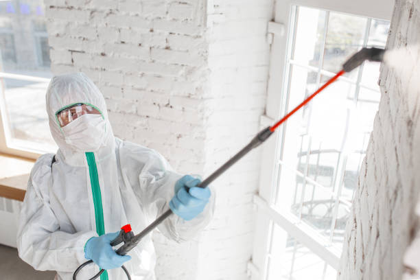 Best Mold Odor Removal Services  in Comstock Park, MI