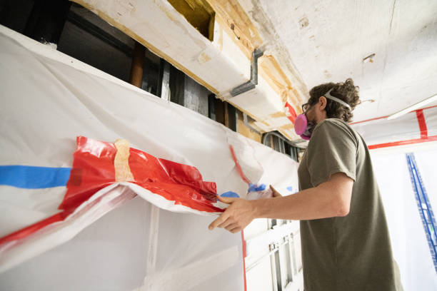 Best Black Mold Removal  in Comstock Park, MI